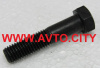 Болт M12x55 крепления шкворня Татра  3091172300 (309501141230)